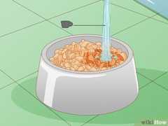 食事時にフードボウルに237mLの水をお入れください。