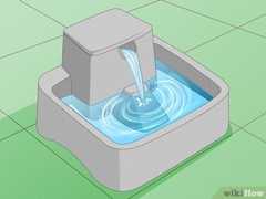 ご自宅用の浄水循環式ペット用給水器をご検討ください。