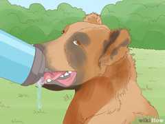 外出先で使用できるボトル入り水をお持ちください。