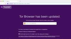 The Tor browser