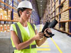 Zebra Image, Photography Website, Warehouse Rfid Scan, 4x3, 3600