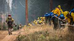 Disaster Management Web Photo